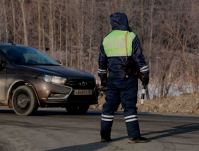 В Волгоградской области «Газель» насмерть сбила пенсионерку