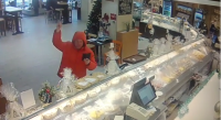 Полицейские установили личность дебошира, разнесшего молотком кулинарию