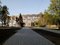 В Волгограде по-особенному обработают зону вокруг «Арены» от комаров 