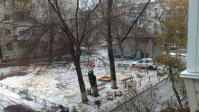 Императорского удава расчленили на детской площадке в Волгограде