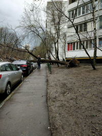 МЧС предупреждает об усилении ветра