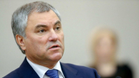 Утром в среду в Волгоград прибудет Володин
