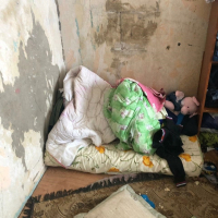 Сразу четверых детей-маугли обнаружили в подмосковных Мытищах