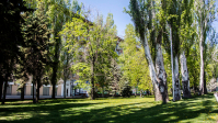фото: интернет- газета Кривое- зеркало.