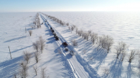 В Волгограде ради возможной непогоды проведут массовые учения