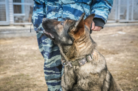 В Волгограде спустя два месяца живым нашелся 17-летний подросток