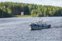 Волгоградских водителей автобусов проверят на профригодность