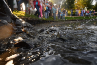 фото:Globallookpress