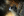 0 8e009 d61f5e15 orig