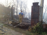 11 08 SNT 2 392xx294