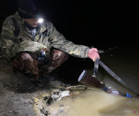 15 11 3 ohota 800x600