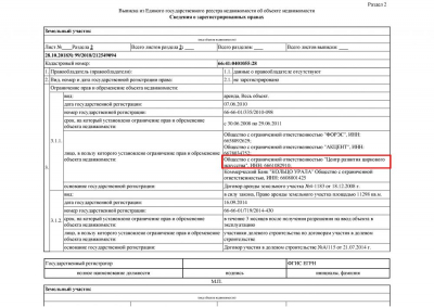 Выписка из ЕГРН