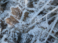 20131124 gaf rt08 001