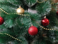 675994860 w640 h640 yolki 21 m