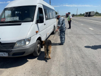 Dosmotr avto 800x600