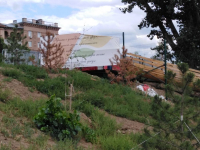 В Волгограде впервые соберутся профессионалы в сфере организации парков на Международный парковый форум