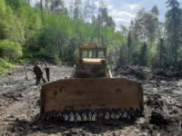 IMG 0695 d1 392xx294