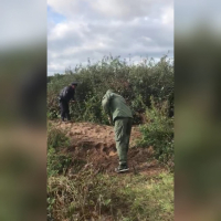 Заявившая о пропаже годовалого сына женщина призналась в его убийстве