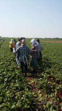 WhatsApp Image 2021 10 13 at 12.58.242 800x600