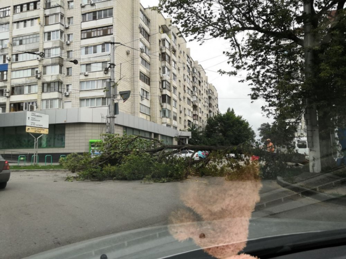 Фото: Александр Калугин