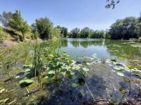 c5fdfb0b0ae9659e15f7f58b4986e640