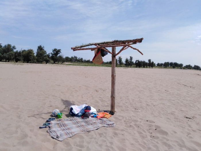 «Антибобры»: пляж на острове Сарпинский предстал перед журналистами во всей красе