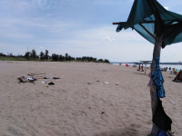 «Антибобры»: пляж на острове Сарпинский предстал перед журналистами во всей красе