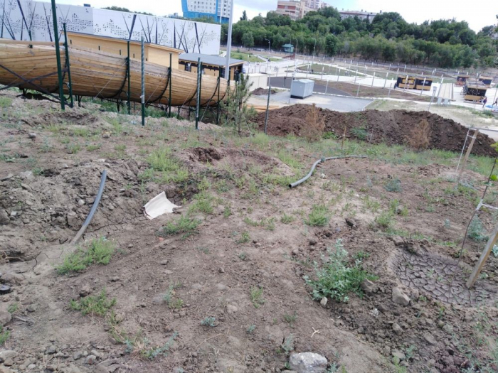 «Это норма»: в администрации назвали погибшие на левом склоне реки Царица саженцы «пределом нормы»
