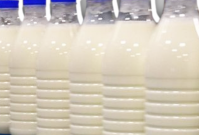 regnum picture 16170896441870070 normal