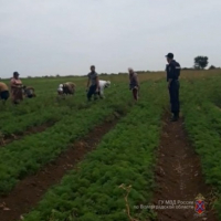 reyd UVM Gorodische 800x600