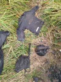 rozysk lenobl 418x320