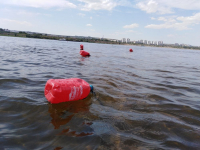 В городе на Волге разрешено купаться только в трех местах