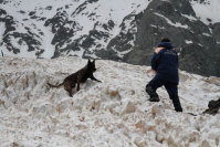 v severnoy osetii prohodyat sbory po gorno lavinnoy podgotovke spasateley kinologov 1622714549299036201 2000x2000