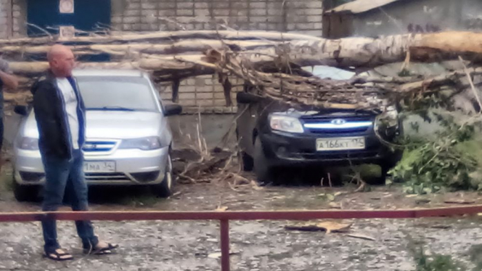фото:Артур Виноградов