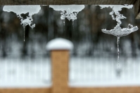фото: Global Look Press