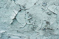 фото: Global Look Press