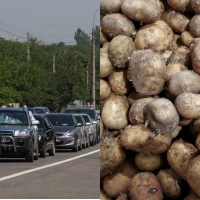 ФОТО: Интернет-газета "Кривое-зеркало"