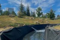 Фото: ООО "Парк" 