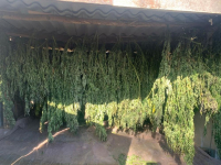 фото: УФСБ по Волгоградской области