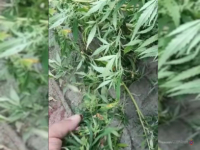 фото: пресс-служба ГУ МВД по Волгоградской области