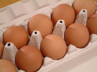 фото: Global Look Press