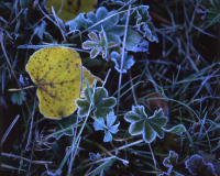 фото: Global Look Press