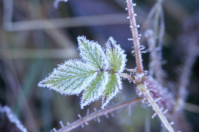 фото: Global Look Press