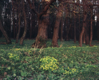 фото: Global Look Press