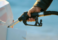 фото: Global Look Press