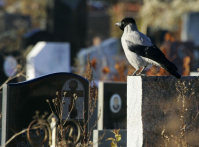 фото: Global Look Press