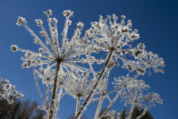 фото: Global Look Press