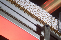 фото: Global Look Press