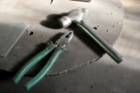 фото: Global Look Press