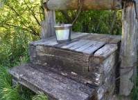 фото: Global Look Press